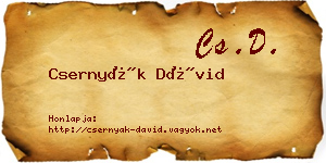Csernyák Dávid névjegykártya