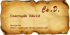 Csernyák Dávid névjegykártya