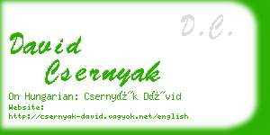 david csernyak business card